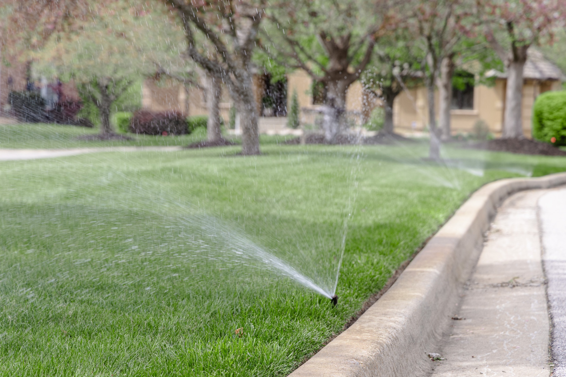 Sprinkler head watering a lush green Kansas City lawn