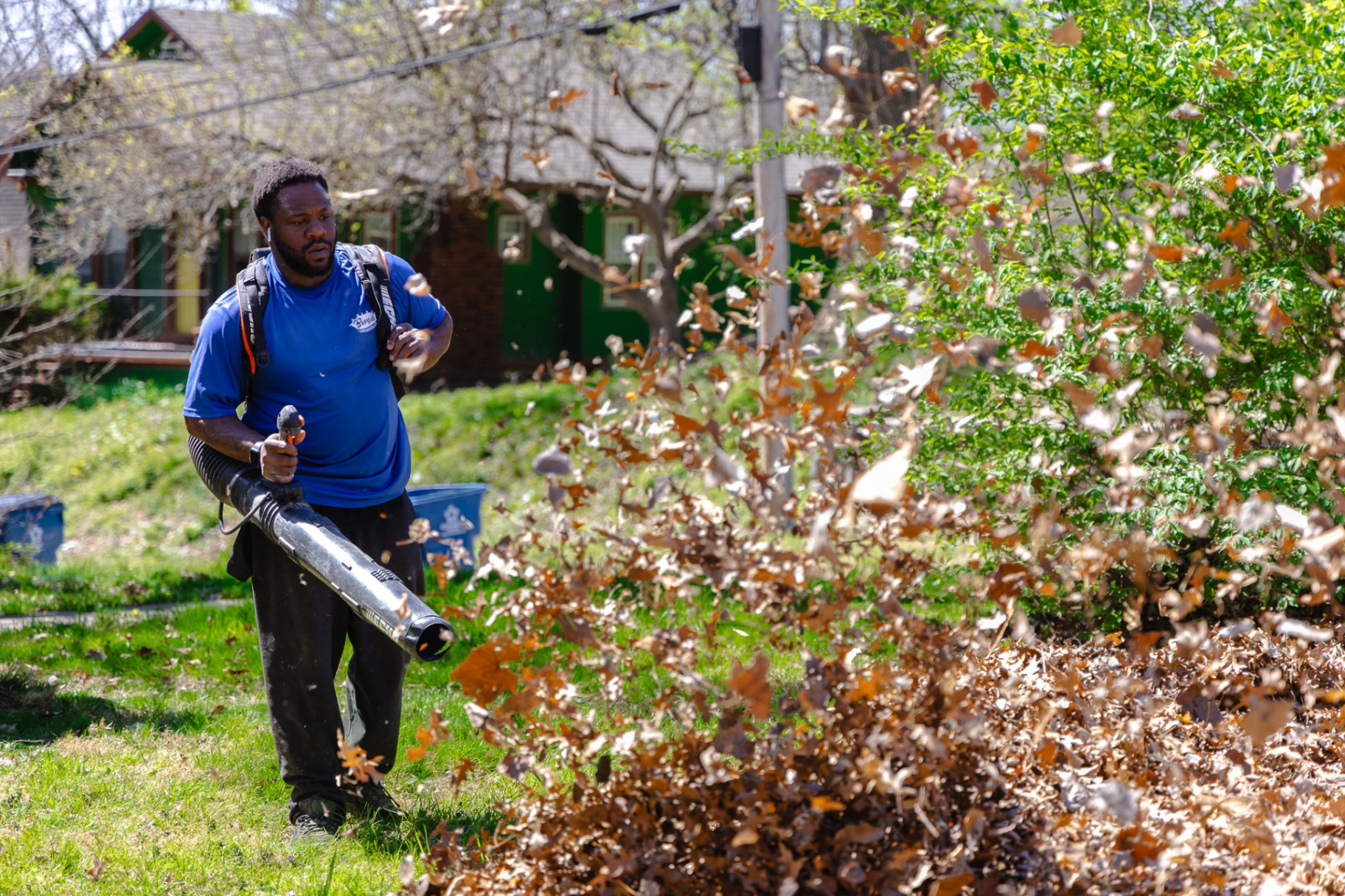 Lawn Maintenance